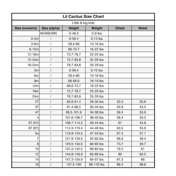 Size 3T Lil Cactus Dress Lined Purple Crayons Back To School - Picture 3 of 11